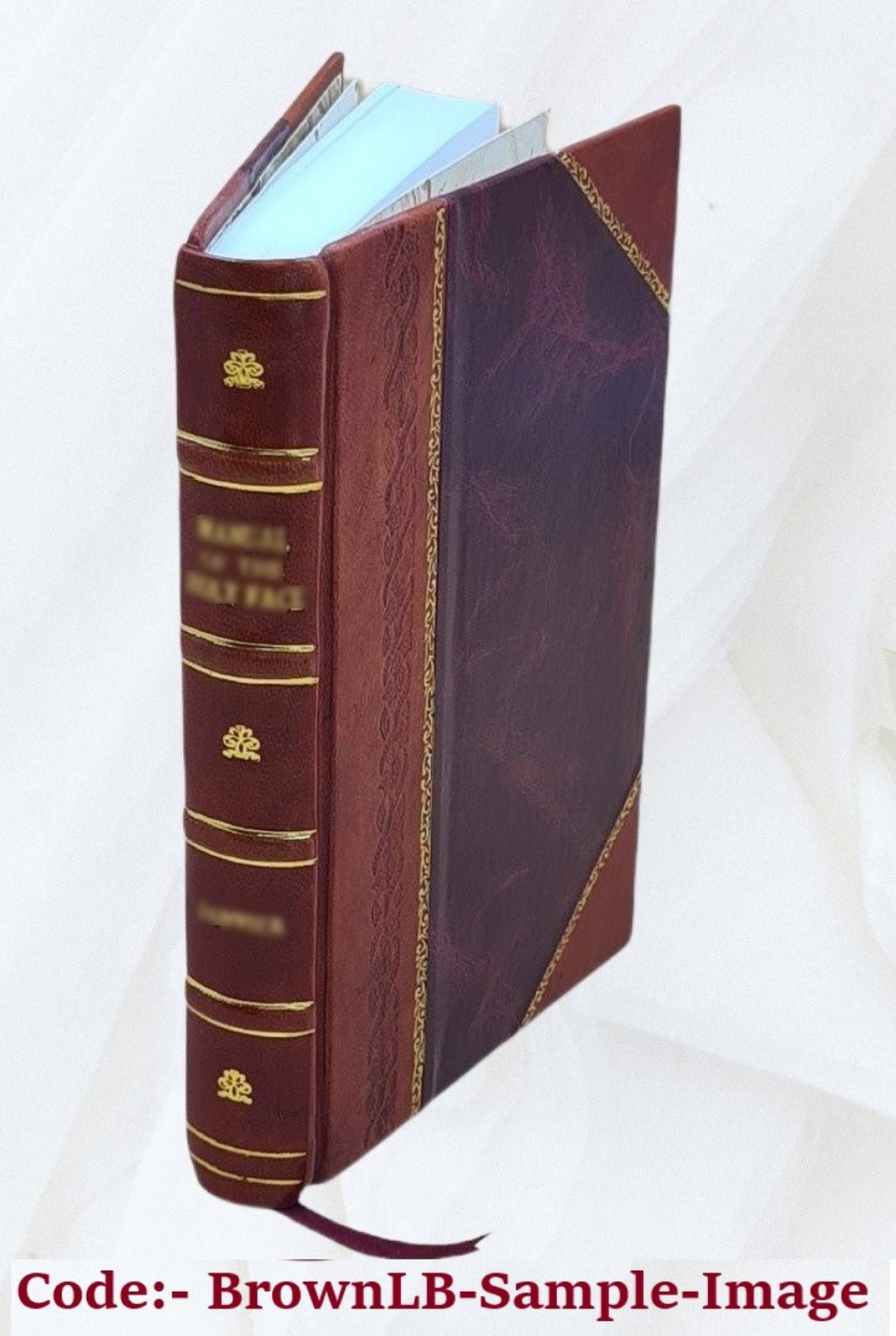 The book of County Tipperary : a manual and directory for manufa [LEATHER BOUND]
