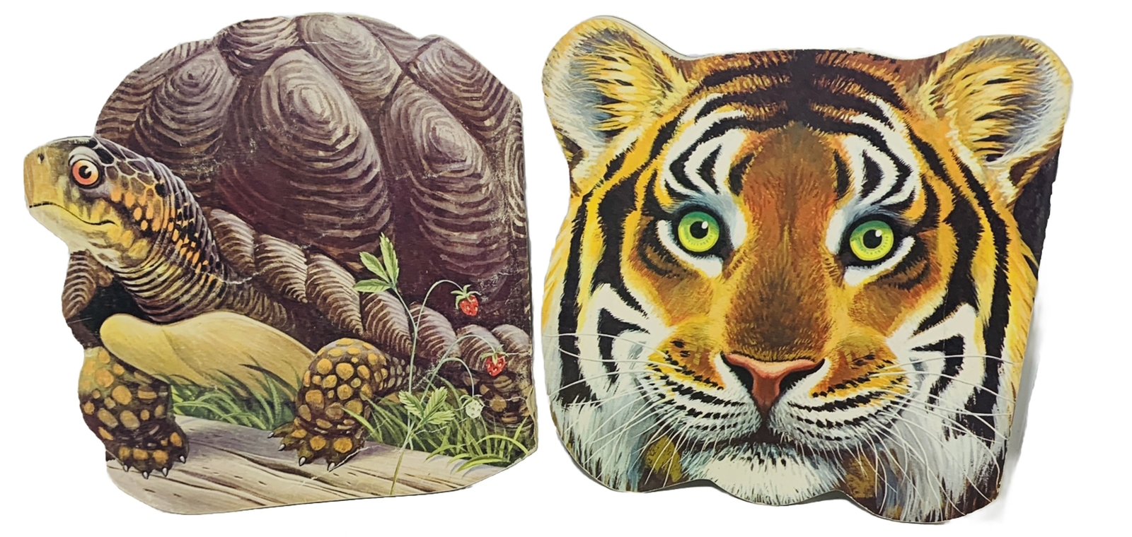 TURTLE & TIGER Shape Children’s Books Golden Press New York 1965 LOT of 2