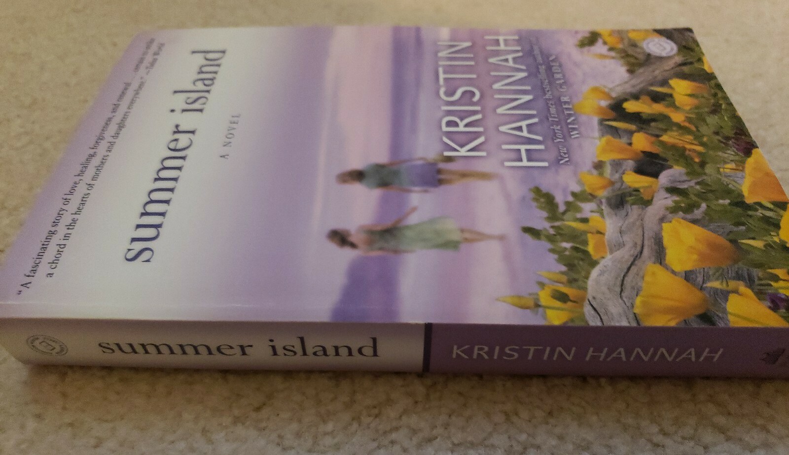 Summer Island: A Novel Hannah, Kristin Paperback Used – Very Good