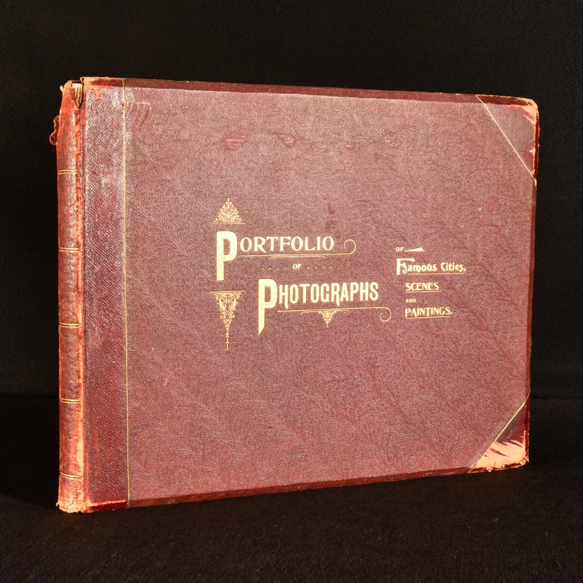 1894 Portfolio of Photographs of Famous Scenes Cities and Paintings Stoddard