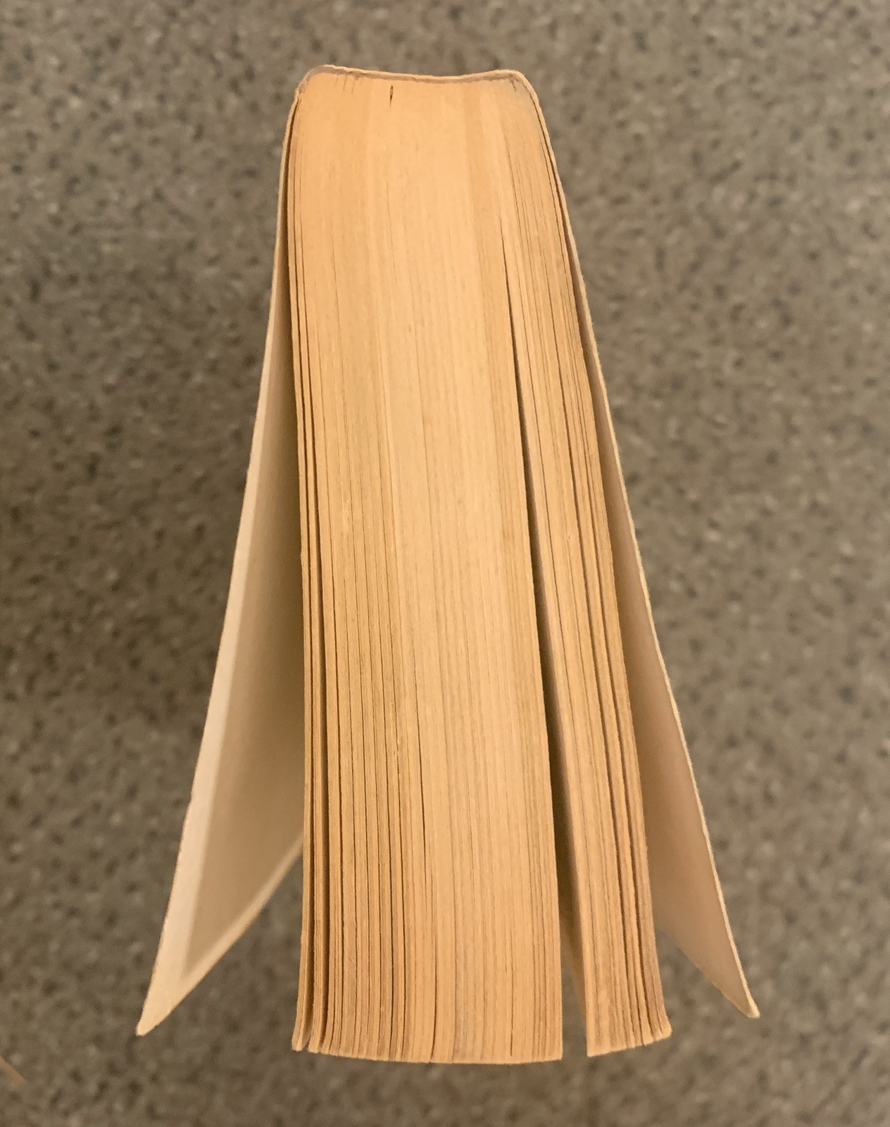 Salem’s Lot Stephen King 1st Edition 1st Printing (August 1976) Signet PB