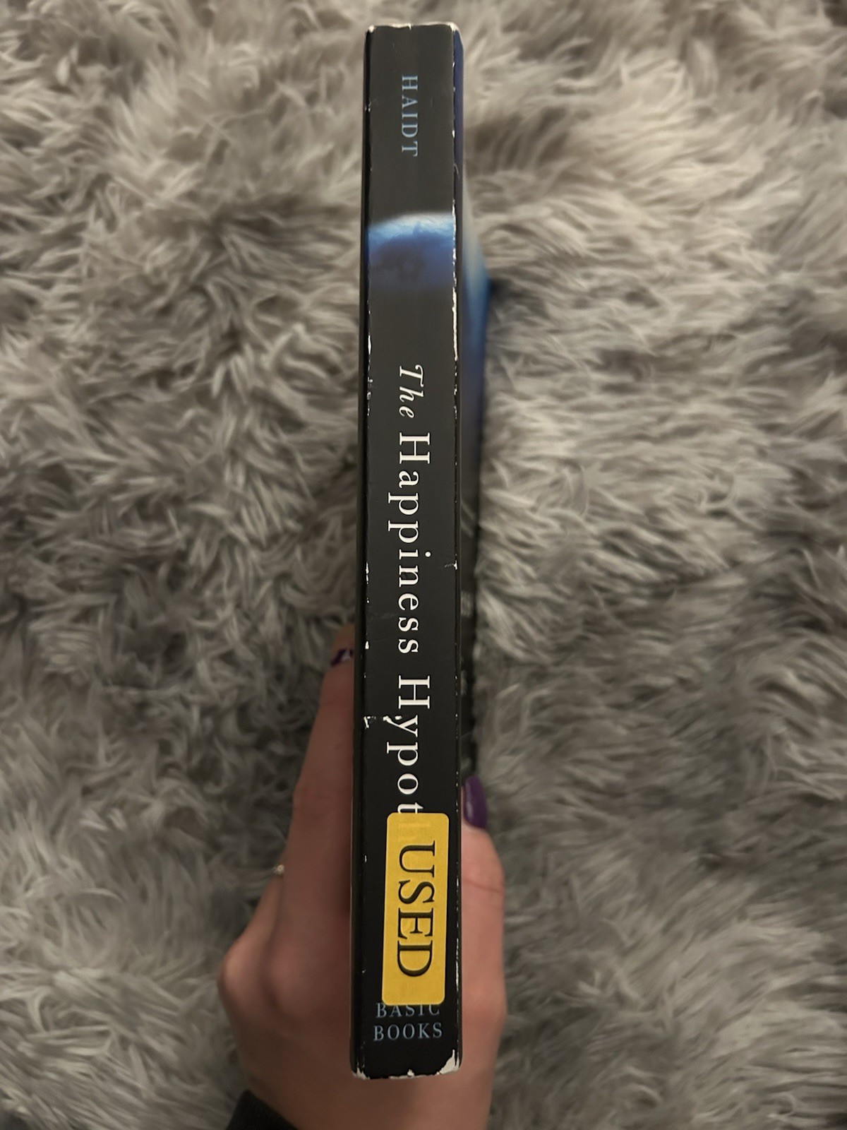 The Happiness Hypothesis: Finding Modern – paperback, Jonathan Haidt, 0465028020