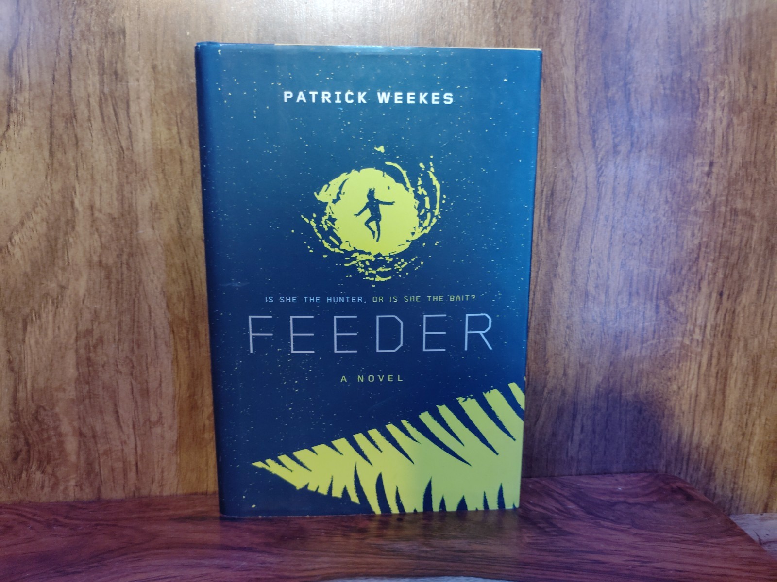 Feeder Patrick Weekes HB 2018 McElderry Books YA Sci-Fi LGBTQ Diversity DJ