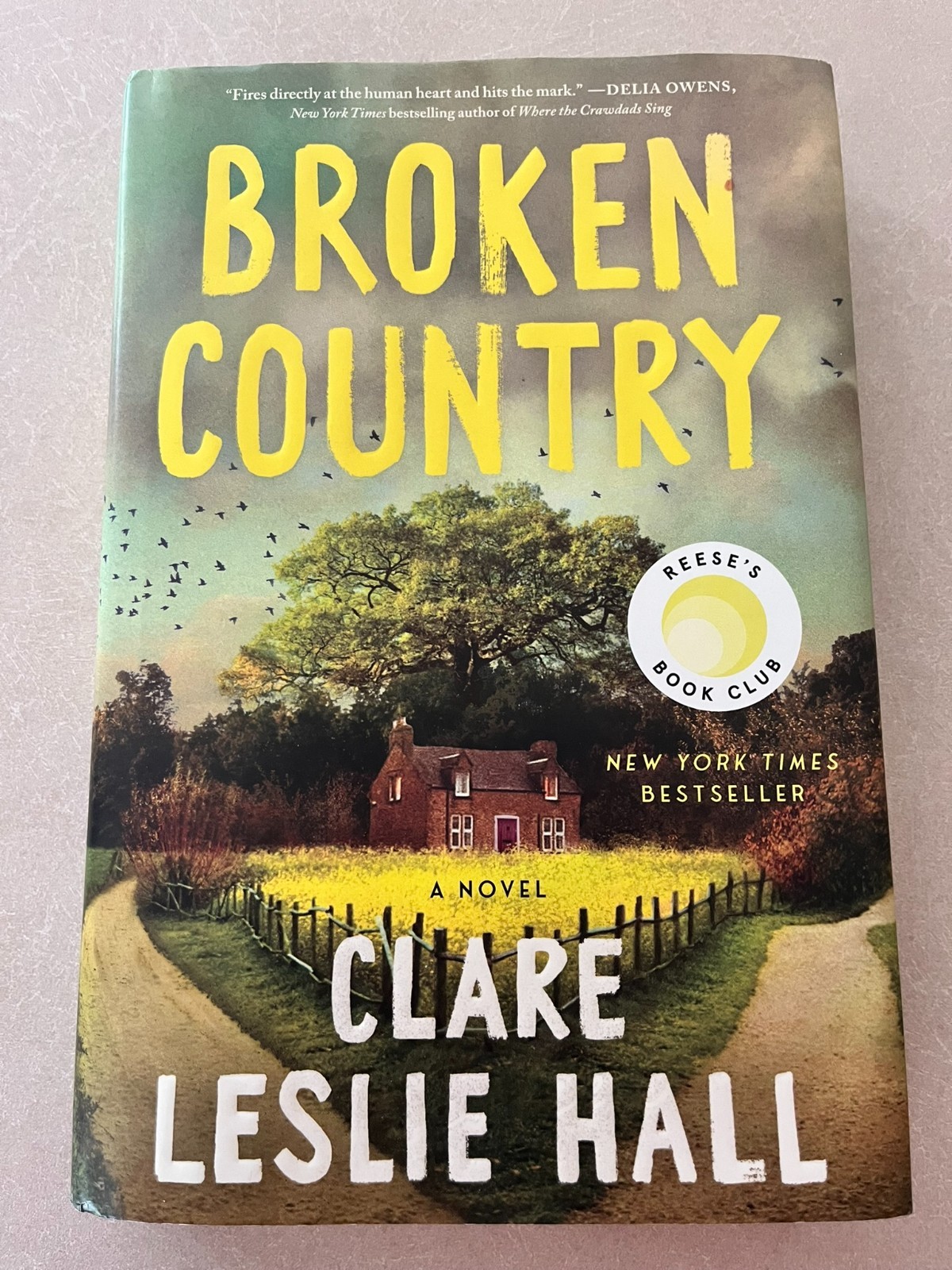 Broken Country (Reese’s Book Club) by Clare Leslie Hall (2025, Hardcover)