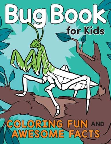 Bug Book for Kids: Coloring Fun and Awesome Facts by Katie Henries-Meisner: Used