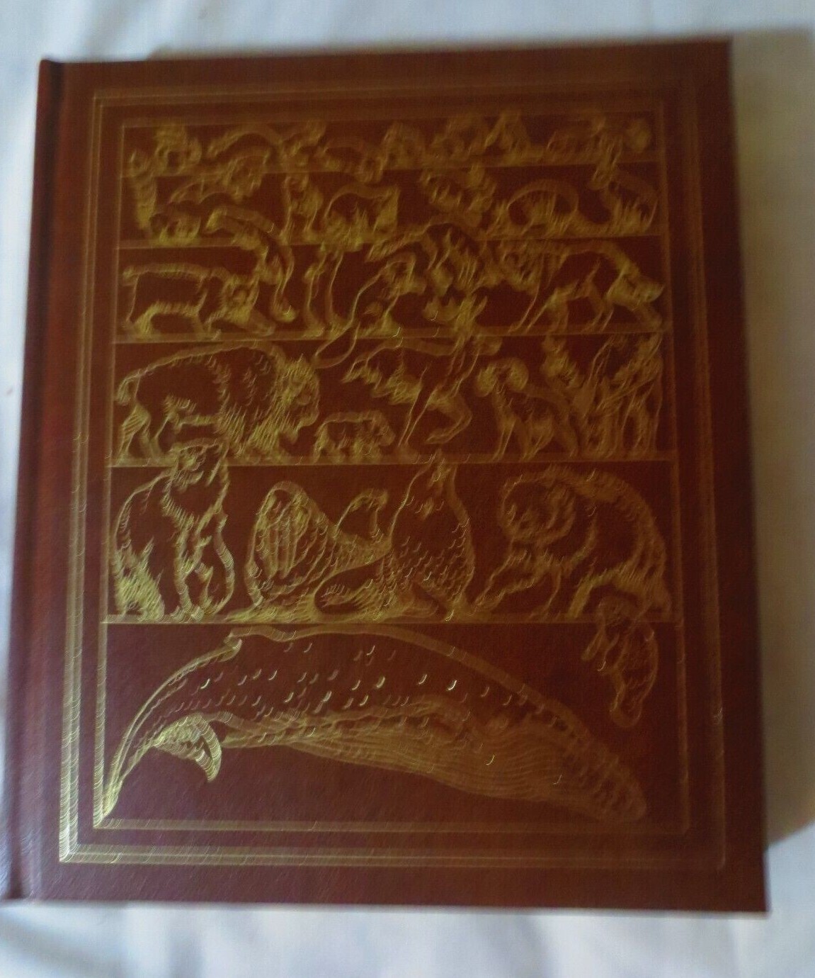 WILD ANIMALS OF NORTH AMERICA PADDED HARDCOVER 406 PAGES