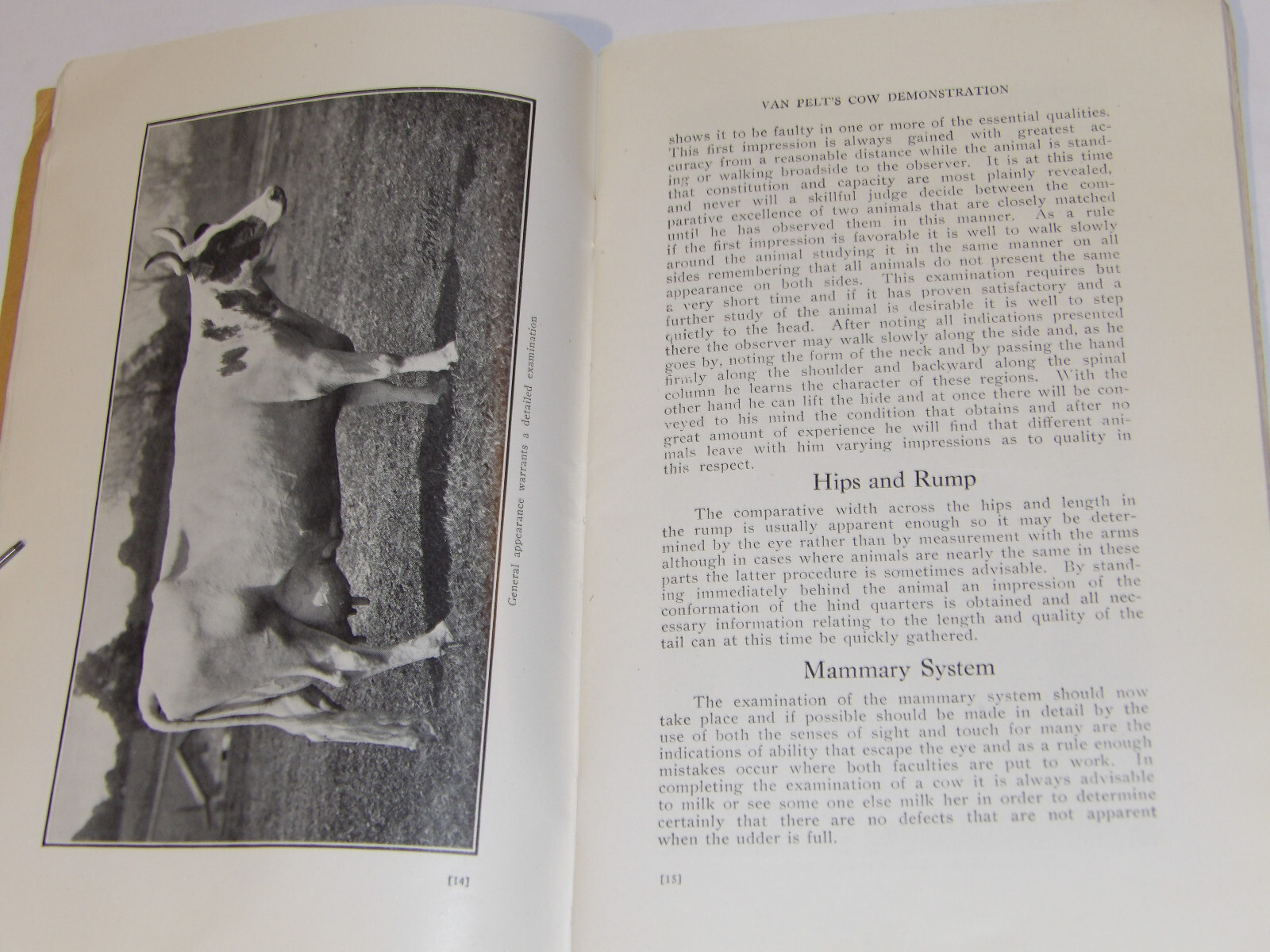 1911 VAN PELT’S COW DEMONSTRATION BOOK! 1st EDITION! ILLUSTRATED! 5 ESSENTIALS!
