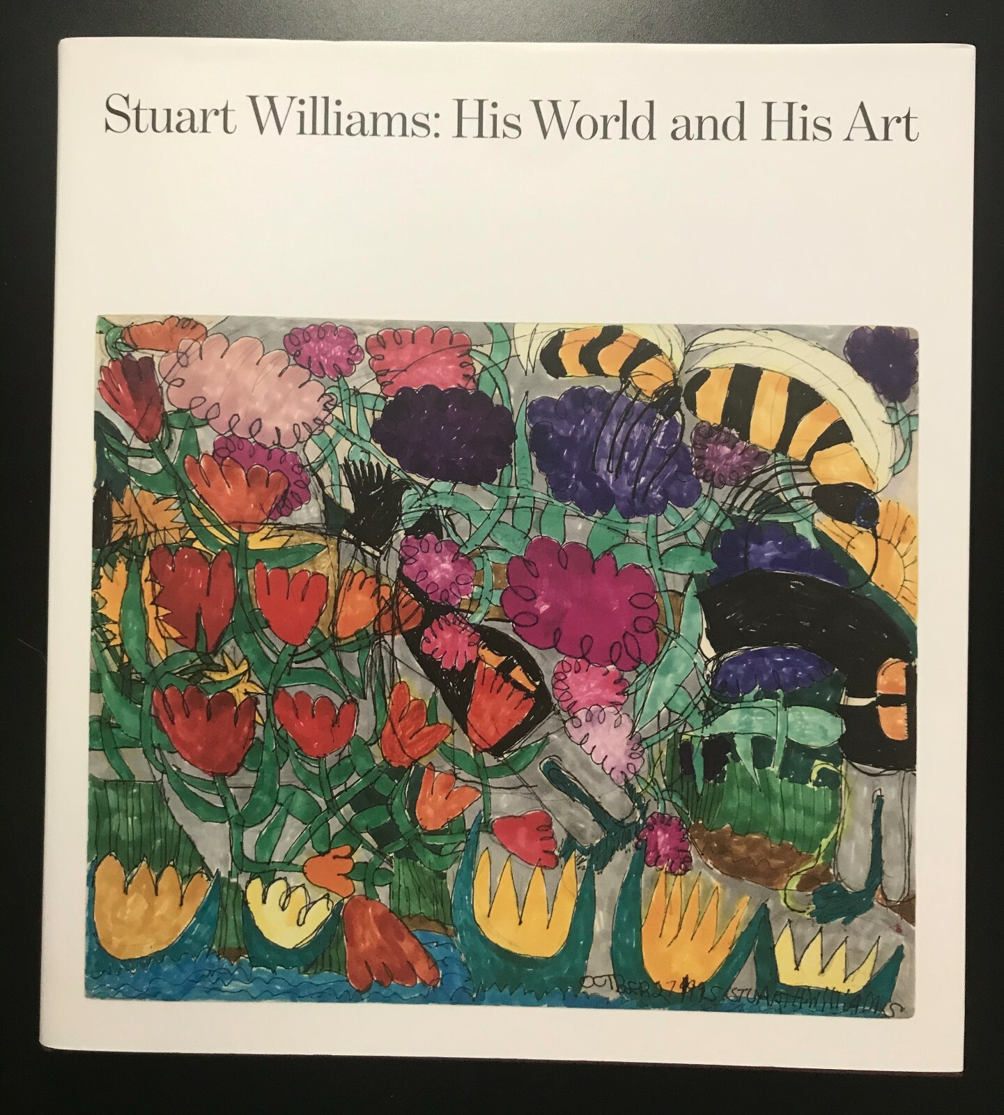 Stuart Williams : His World and His Art by William Corbett (2017, Hardcover)