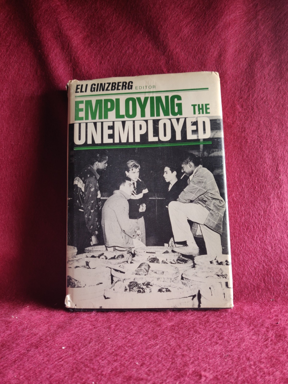 Employing the Unemployed Eli Ginzberg 1980 Hardcover Economics Labor Book