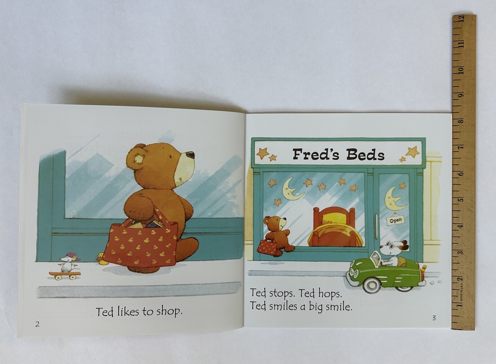 Phonics Readers Children’s Books Beginning Readers Lot 10