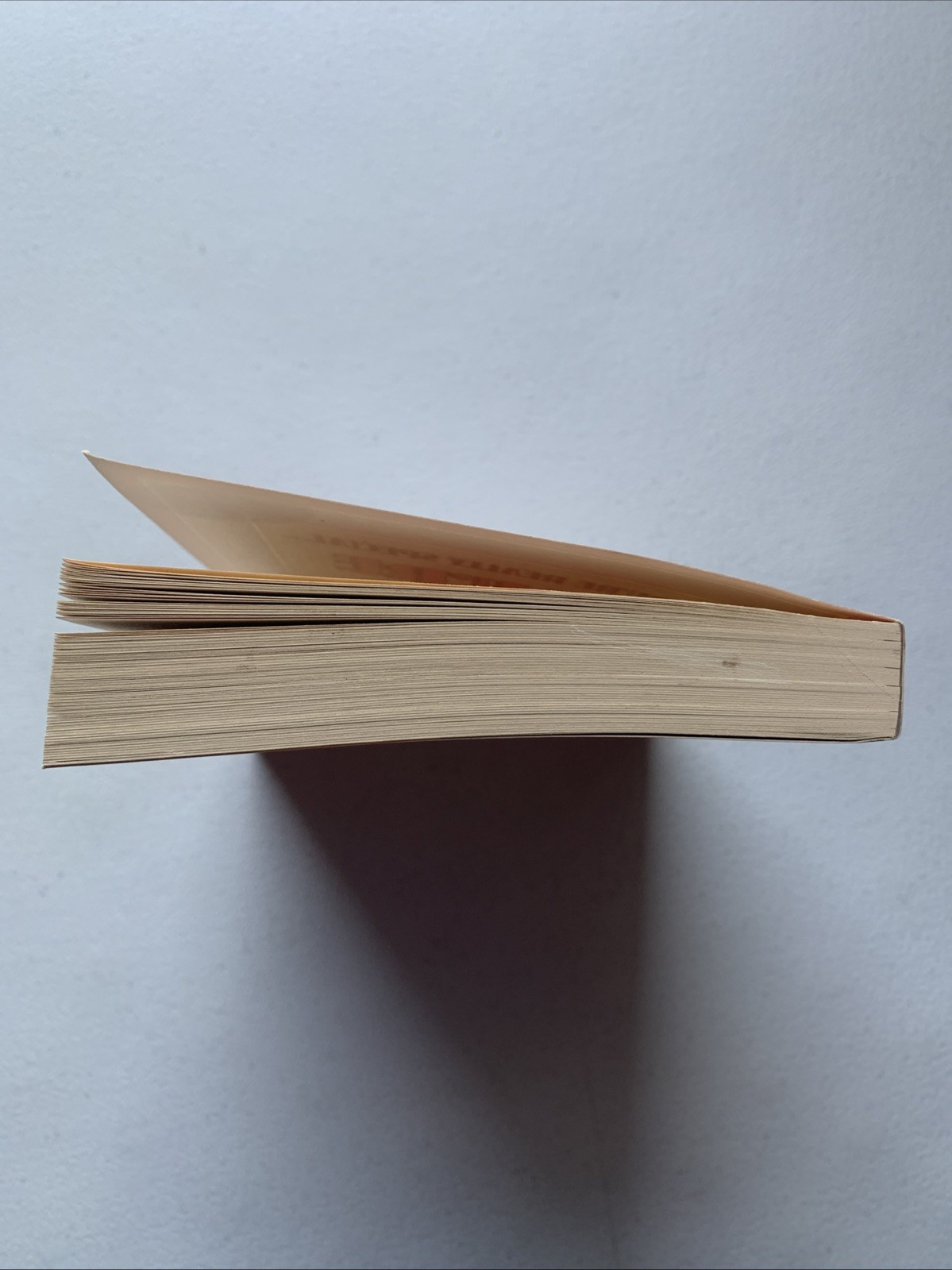 1987 YOU’RE ONE IN A MILLION 400 Pages Tear Out Notepad Twocan Publishing Book