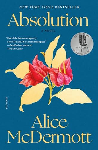Absolution A Novel – Paperback – VERY GOOD