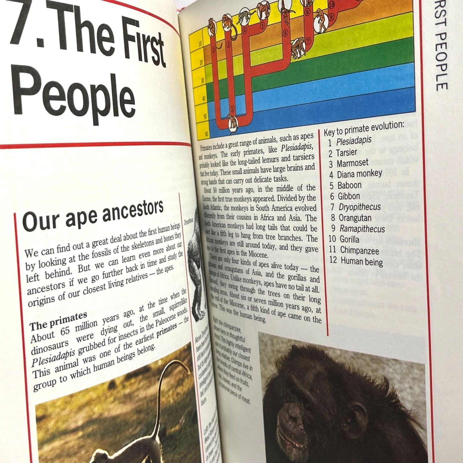 Prehistoric World Simon Schuster Illustrated Encyclopedia Michael Benton 1989