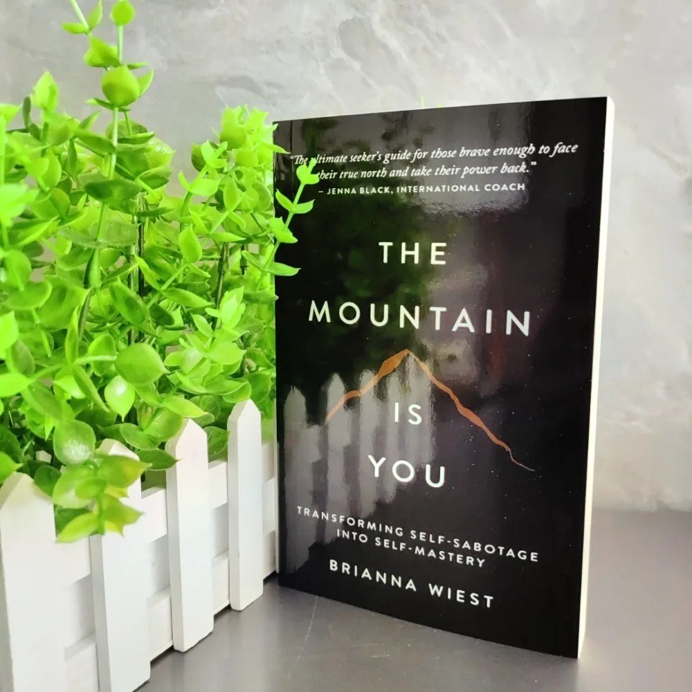 The Mountain Is You English Self-Help Book Personal Growth & Self-Transformation