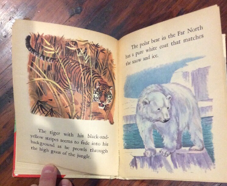 1971~ RAND MCNALLY~ START RIGHT ELF BOOK~ ORIG. .25 ANIMAL MYSTERIES #8172