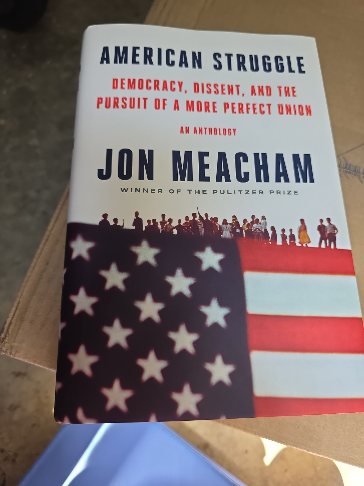 American Struggle : Democracy, Dissent, and the Pursuit of a More Perfect Union: