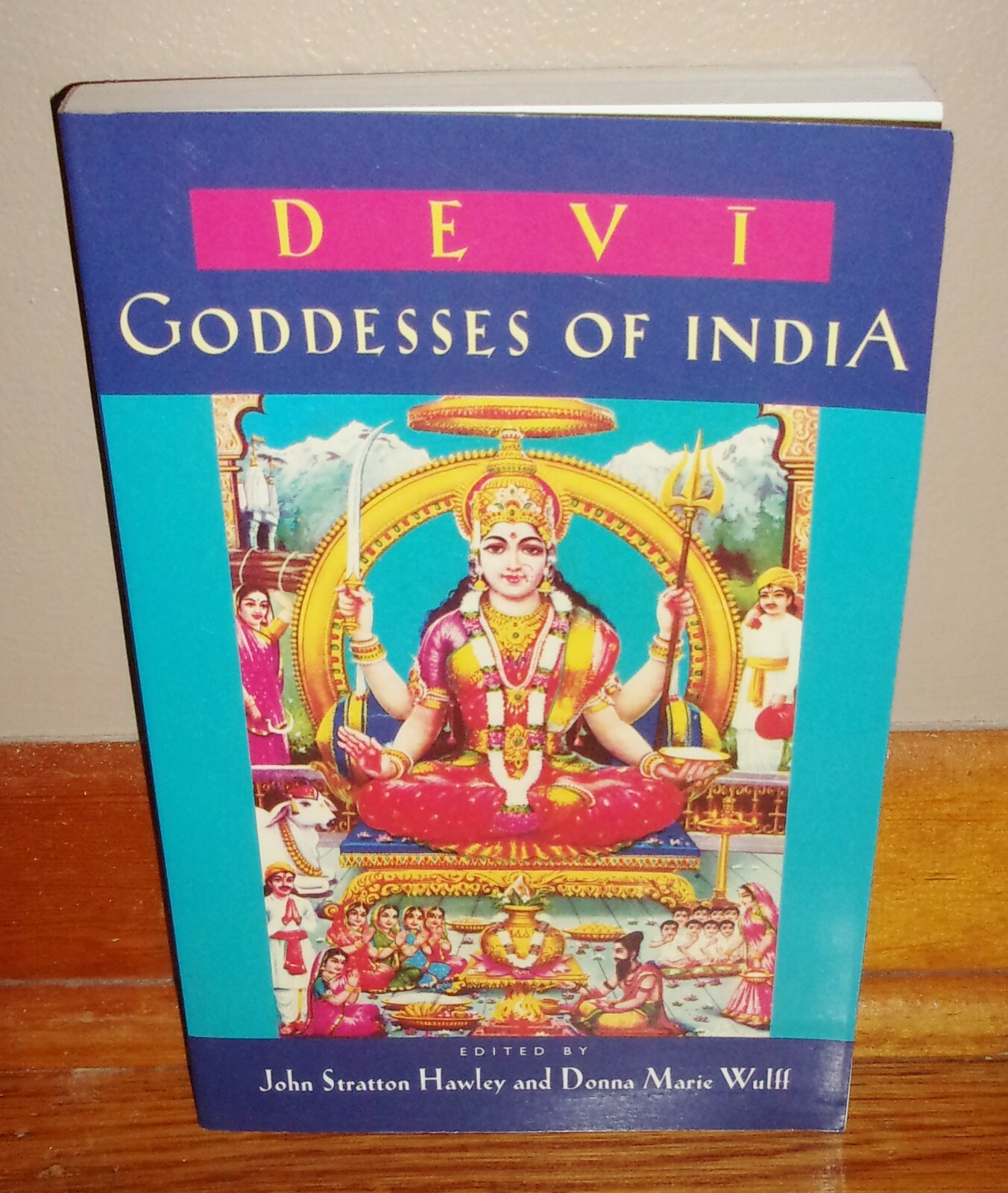 DEVI-Goddesses of India-HINDU Religion-Edited by Hawley & Wulff-SUPERB Condition