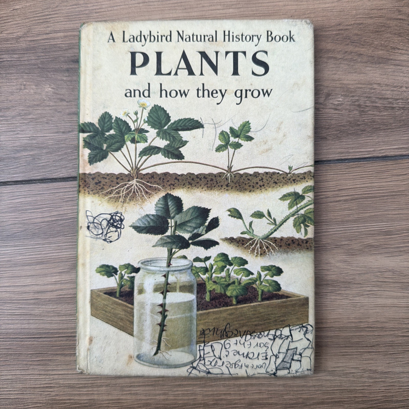 VINTAGE LADYBIRD BOOK Plants and how they grow Series 651