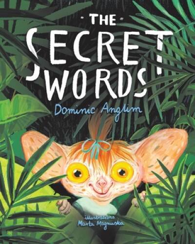 The Secret Words – Paperback By Anglim, Dominic – ACCEPTABLE