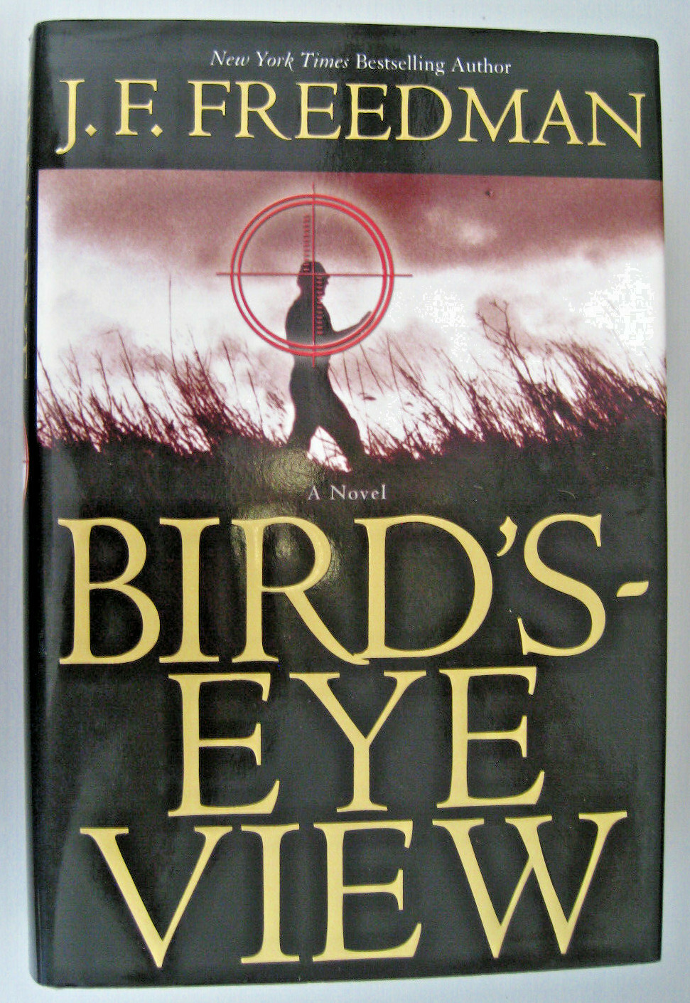 Bird’s Eye View by J. F. Freedman 2001 Hardcover 1st Edition 1st Printing DJ