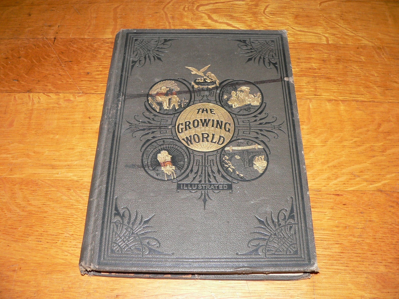 Antique 1886 “The Growing World” Illustrated Hardcover Salesman’s Sample Book