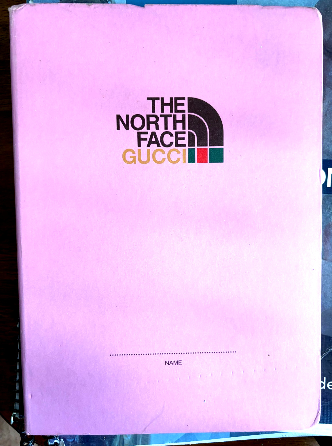 Gucci The North Face Pink Catalog Lookbook 2021 Notebook style