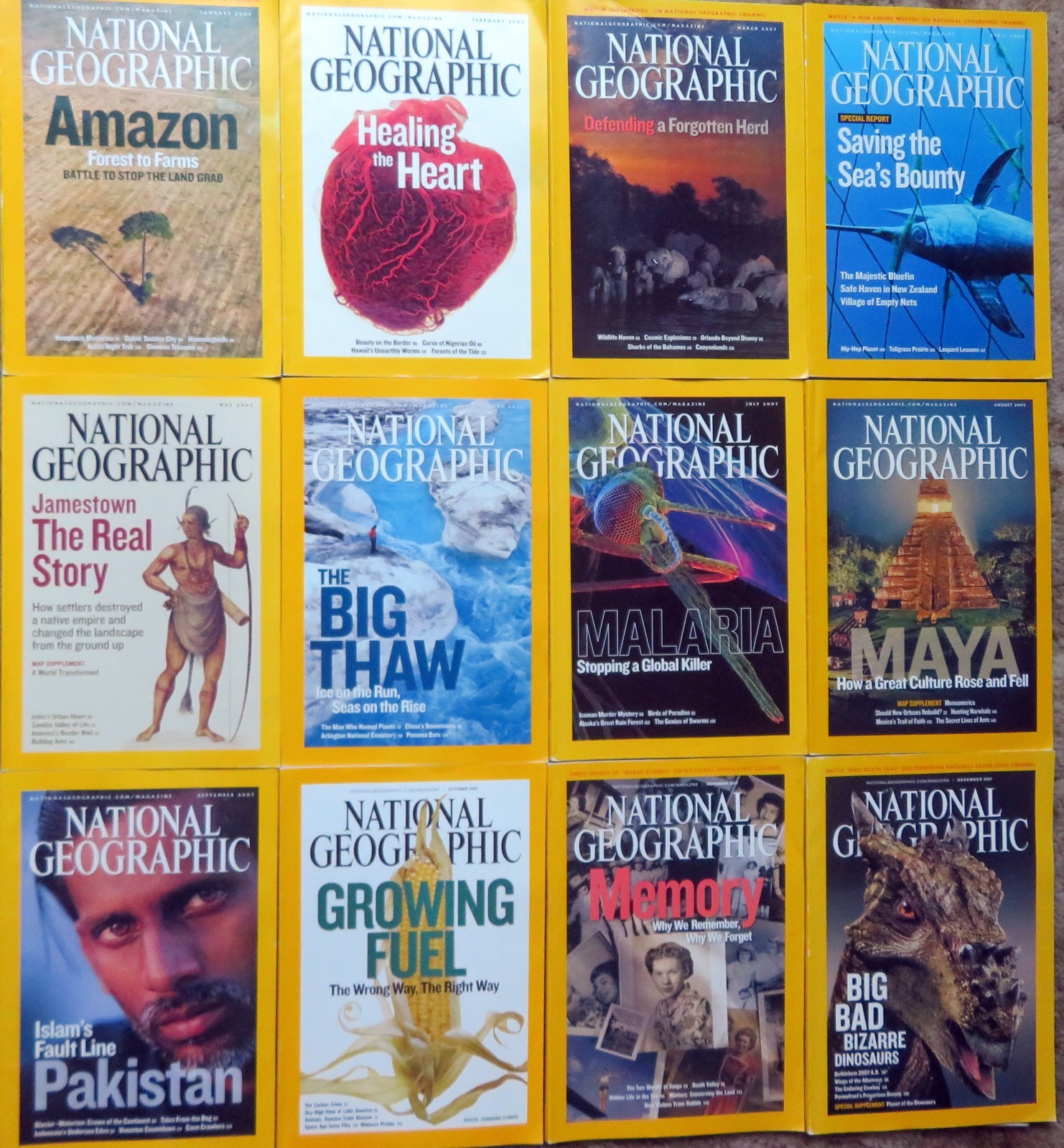 NATIONAL GEOGRAPHIC MAGAZINES – Year Lots, Your Choice, 2007, 2017-2025