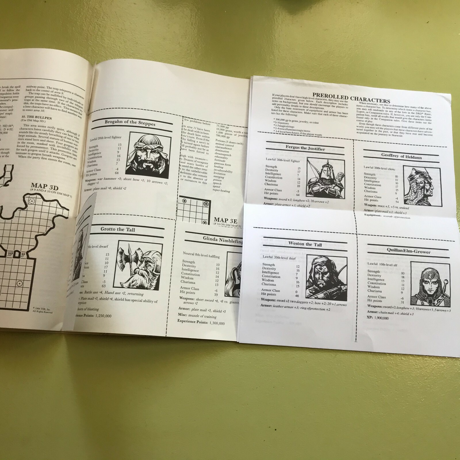 CM3 Sabre River Module Dungeons & Dragons AD&D D&D 9119 1984 niles & nesmith !