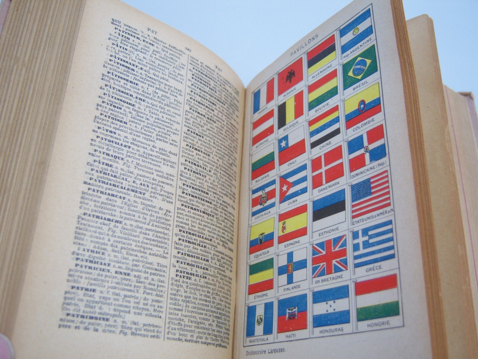 LAROUSSE ELEMENTAIRE ILLUSTRE French Illust 1926 Dictionary Ornate Antique Book