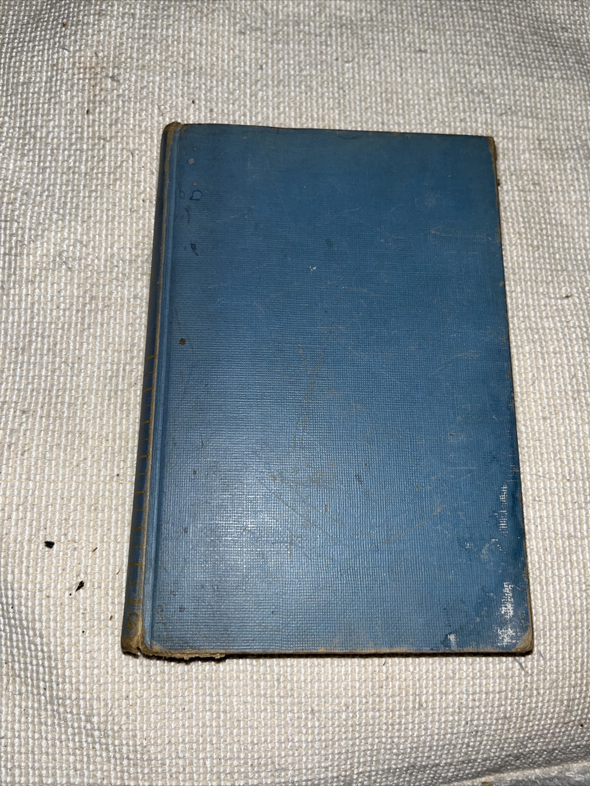 A Summer’s Tale – Novel By Gerald Warner Brace – 1949 1st Edition