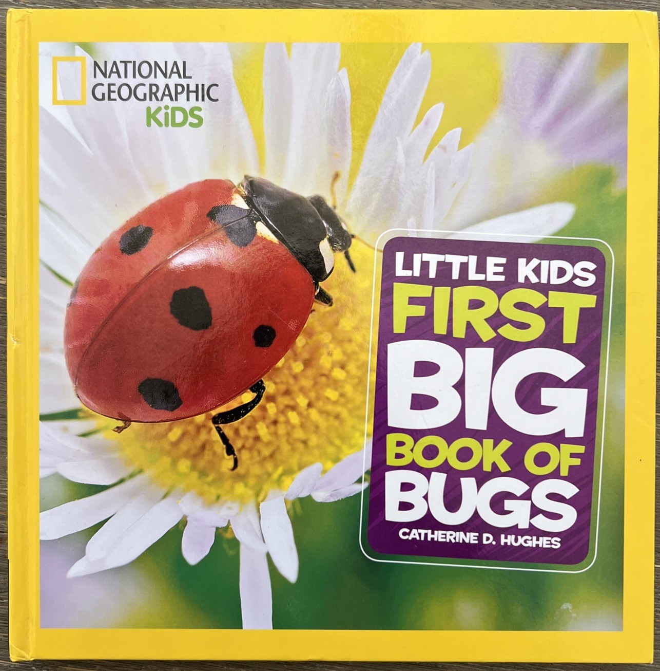 National Geo Little Kids First Big Book of Bugs by Catherine D. Hughes 2014