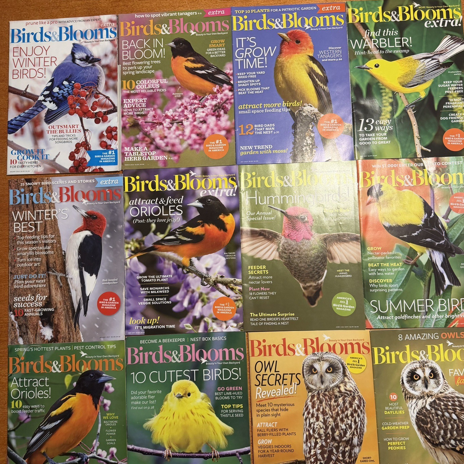Lot of 12 Birds and Blooms Magazine Issues 2016, 2017, 2019 & 2023