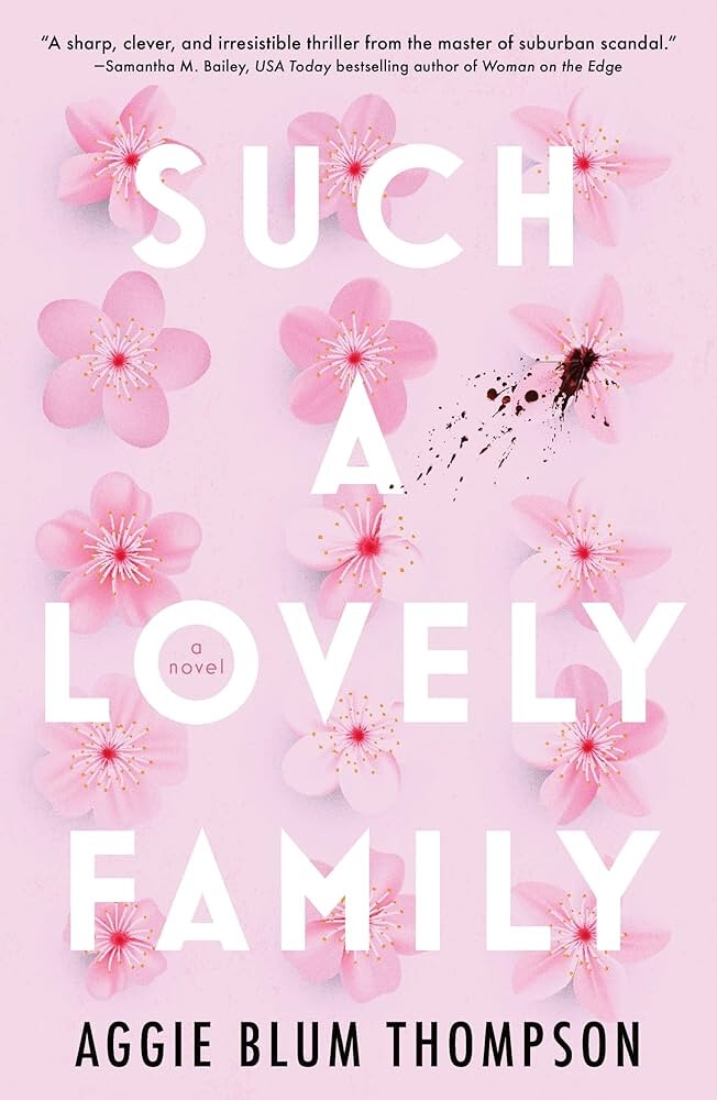 Such a Lovely Family by Aggie Blum Thompson (2024, Trade Paperback) – LIKE NEW