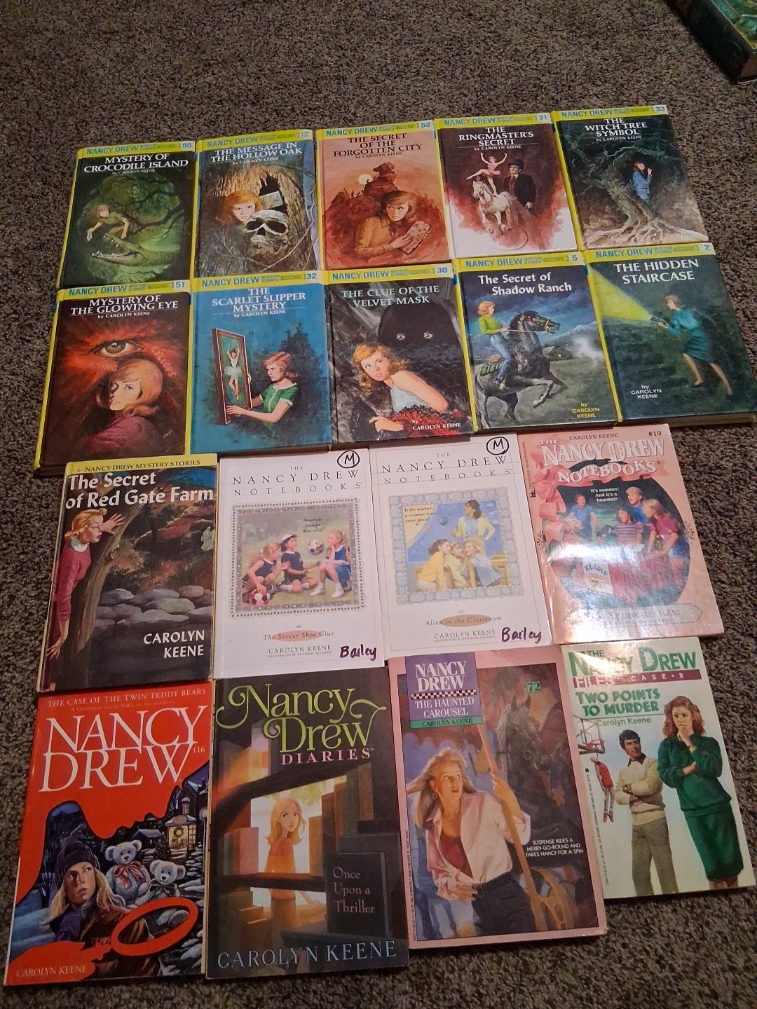 Lot Of 18 Nancy Drew Carolyn Keene Mystery Books Notebooks Casefiles Diaries
