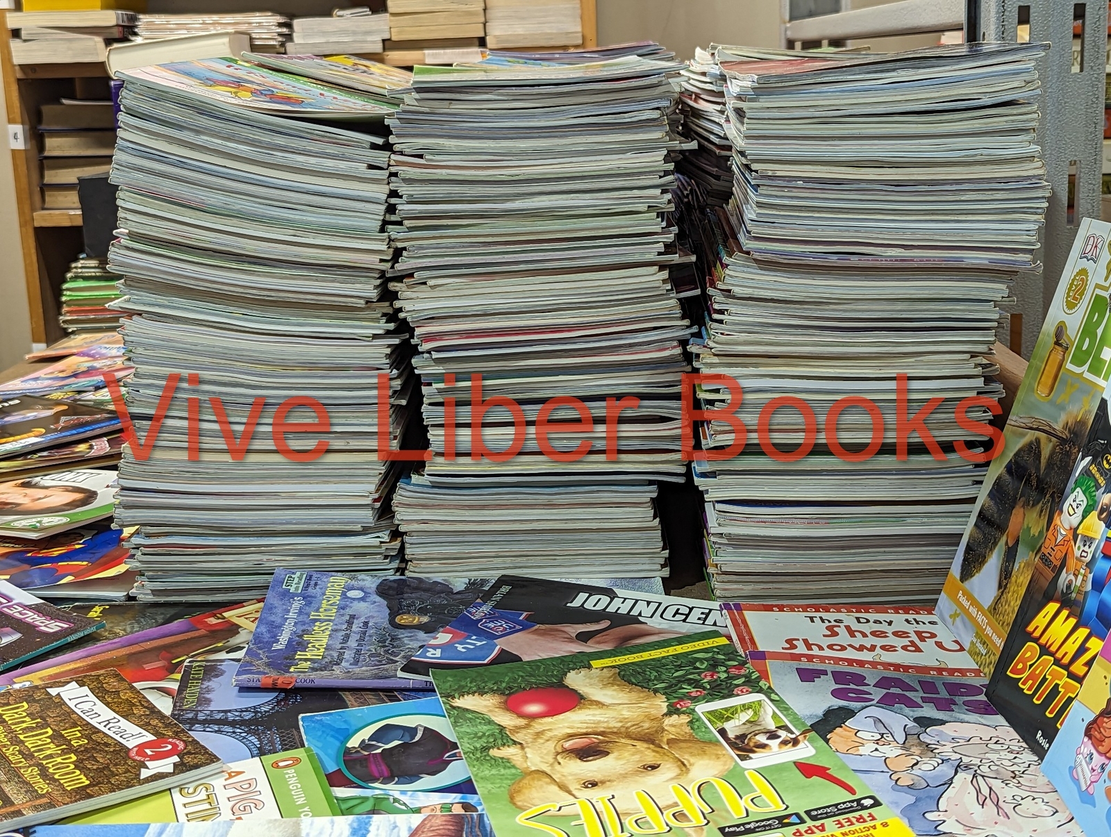 Huge Lot of 100 Step Into Reading Level 1 2 3 Books – My First – I Can Read MIX