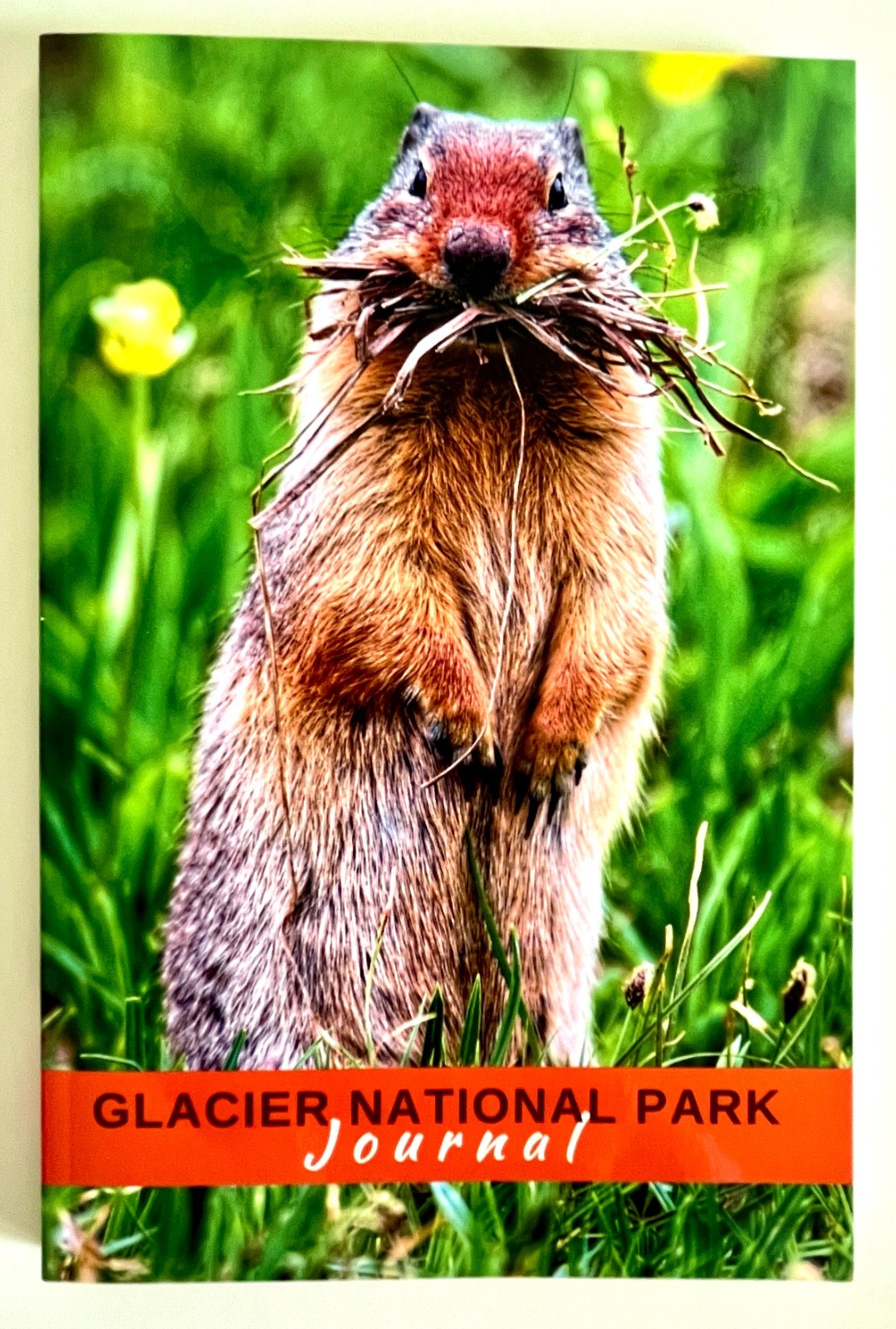 Glacier National Park Journal BRAND NEW Columbian Ground Squirrel $5.99 Huzzah