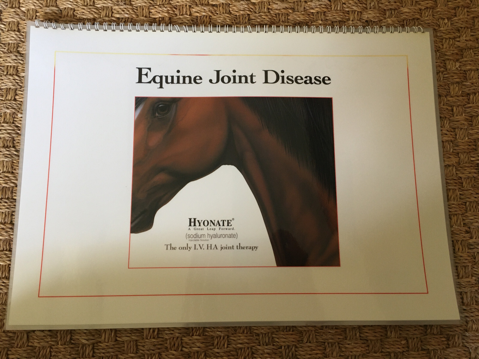 Equine Joint Disease laminated illustrations Bayer Hyonate booklet 43 x 30.5 cm