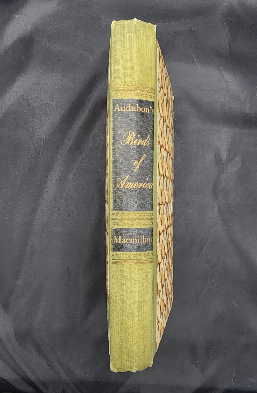 Audubon’s Birds of America 1950 2nd Printing The Macmillan Company