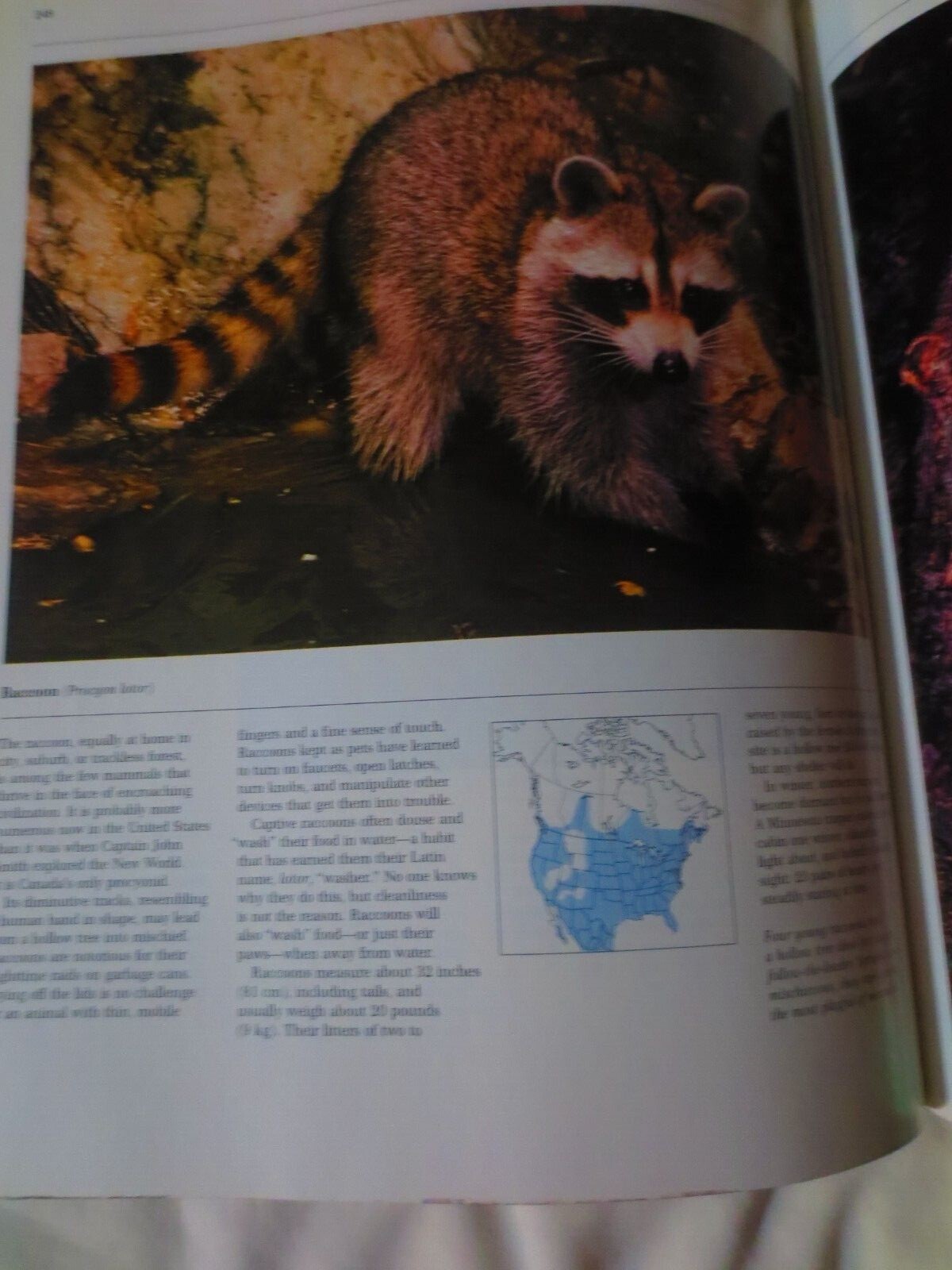 WILD ANIMALS OF NORTH AMERICA PADDED HARDCOVER 406 PAGES