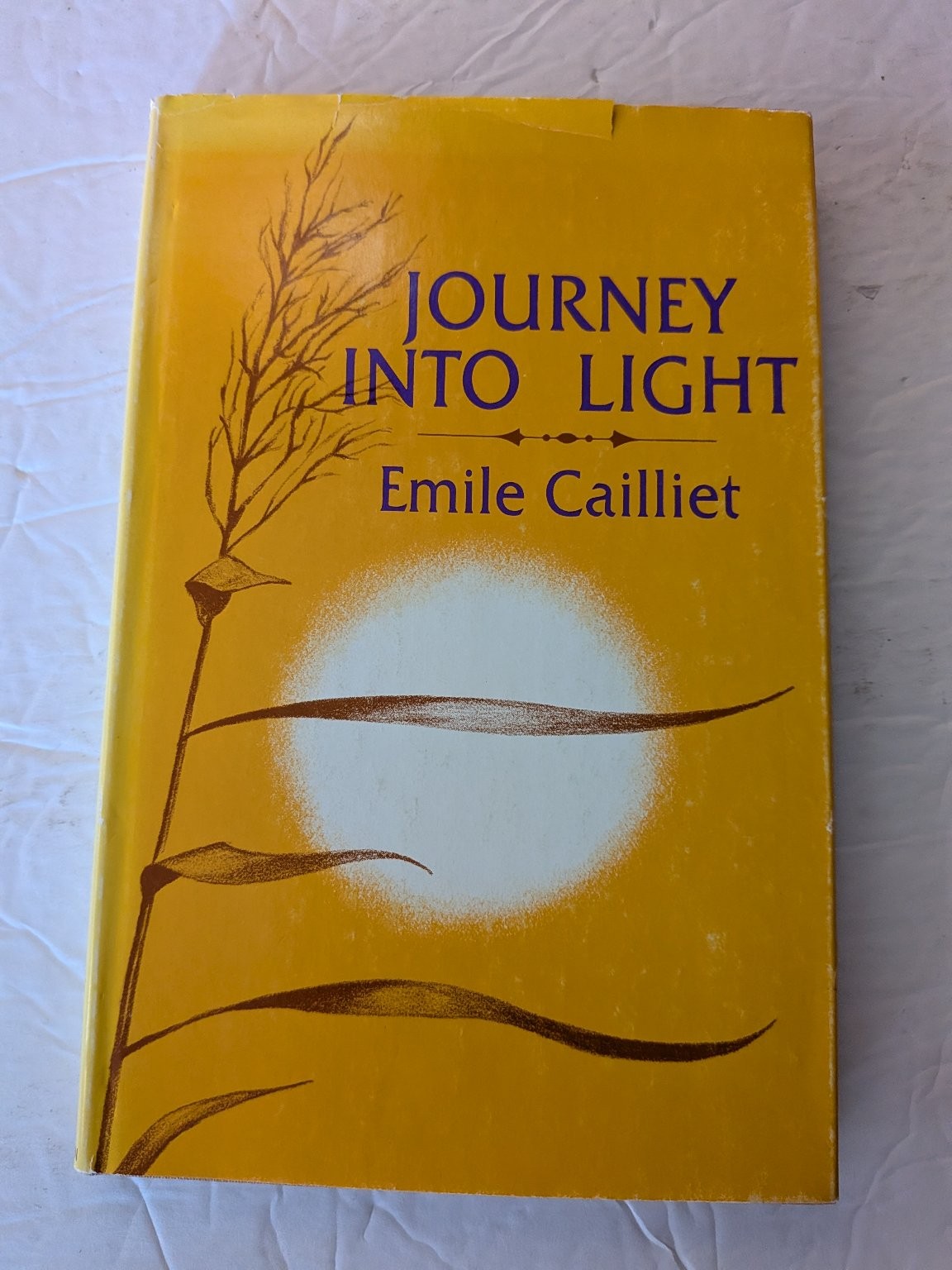 Journey Into Light Emile Cailliet Second Printing Christian Theology Zondervan