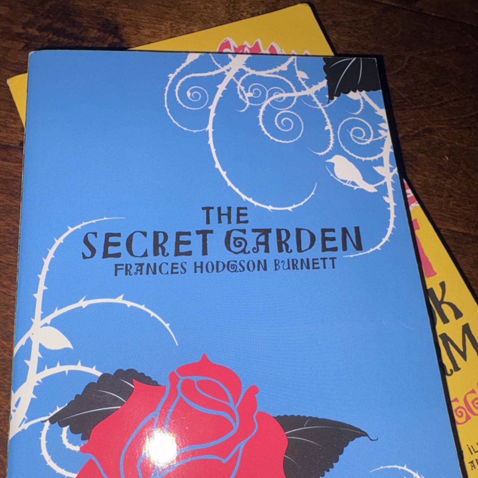 Illustrated Adapted Paperback Set: A Little Princess, Secret Garden, Rebecca