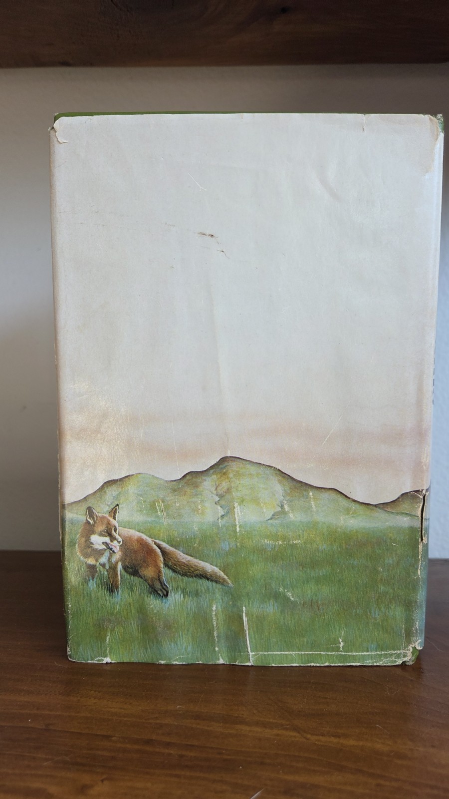 1978 The Plague Dogs – Richard Adams Knopf Hardcover Book Club ED Good