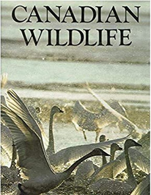 CANADIAN WILDLIFE. Rupert O. Matthews
