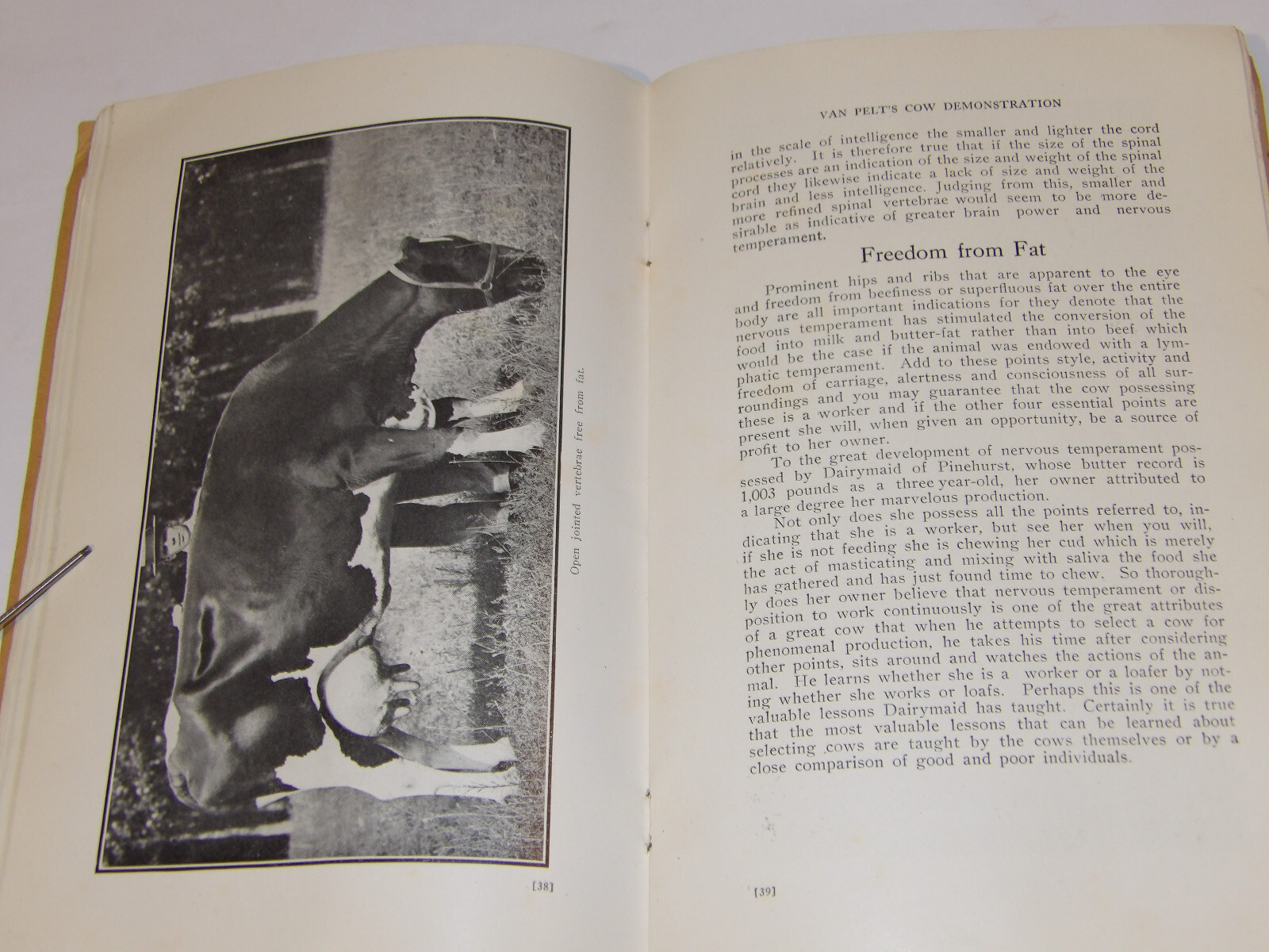 1911 VAN PELT’S COW DEMONSTRATION BOOK! 1st EDITION! ILLUSTRATED! 5 ESSENTIALS!