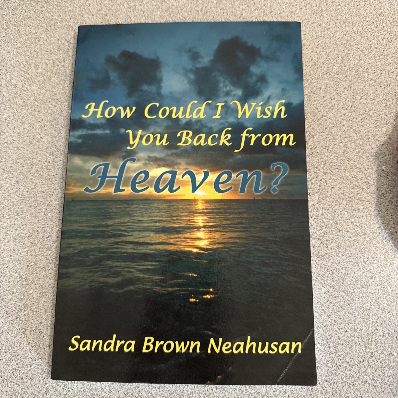 How Could I Wish You Back from Heaven? by Sandra Brown Neahusan (2012, Trade…