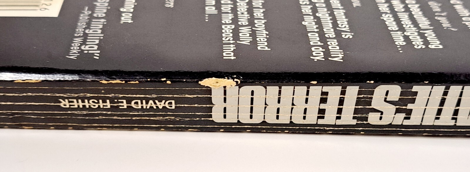 Katie’s Terror / David E. Fisher ~ Charter Books PB 1984 Suspense Thriller