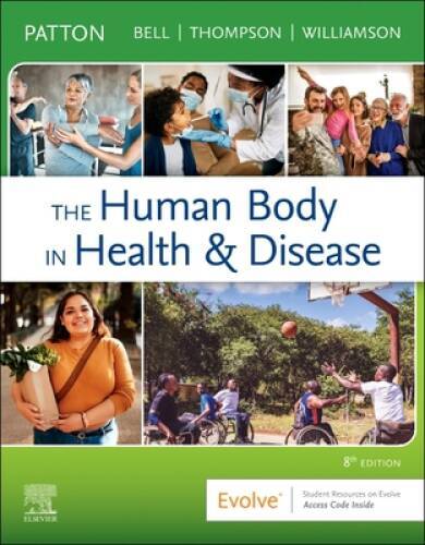 The Human Body in Health Disease – Softcover – Paperback – GOOD