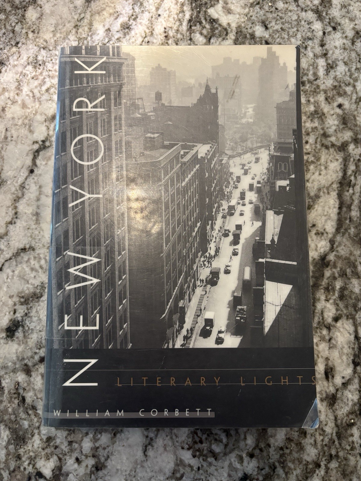 New York Literary Lights: William Corbett by William Corbett