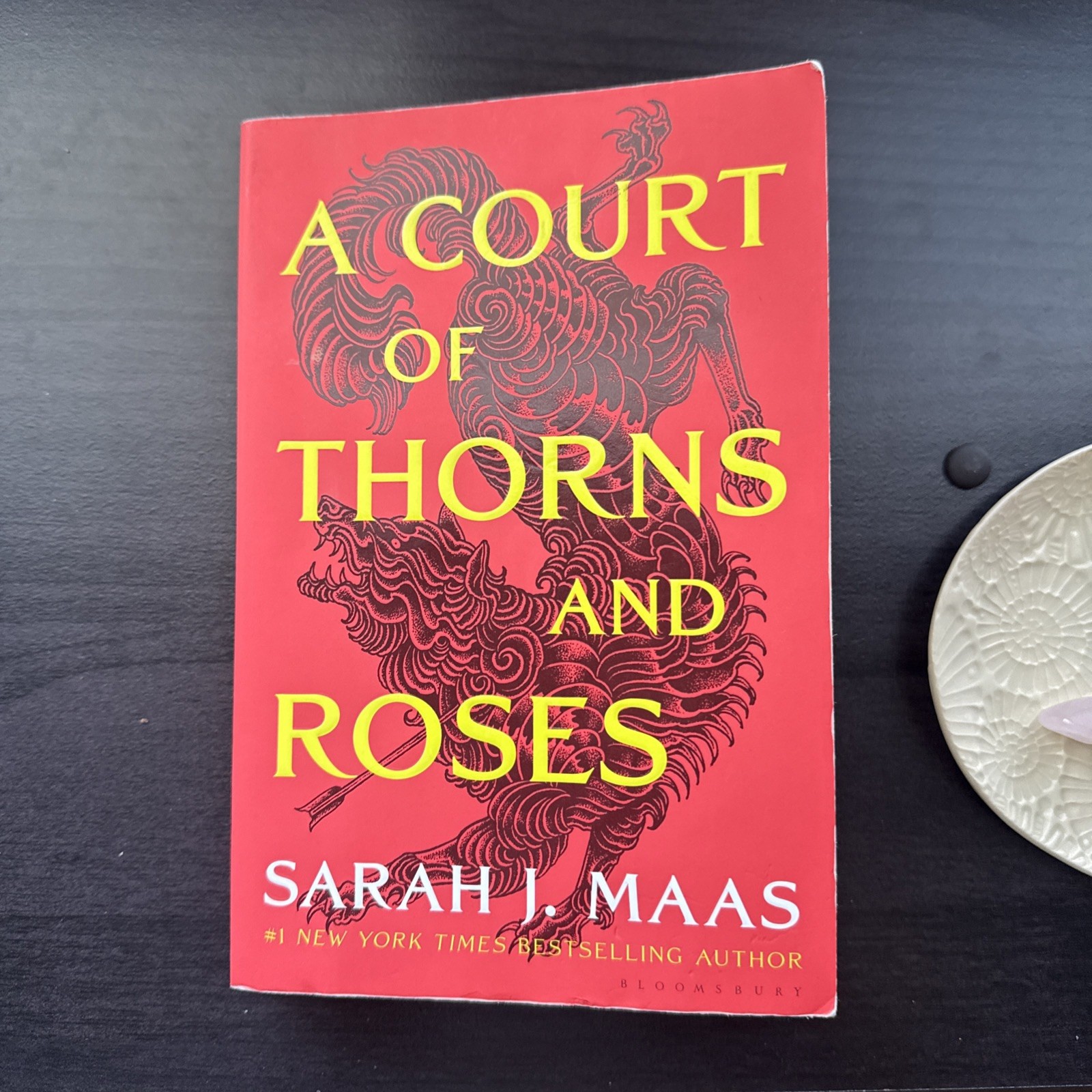 A Court of Thorns and Roses – Paperback, by Sarah J. Maas – Very Good x