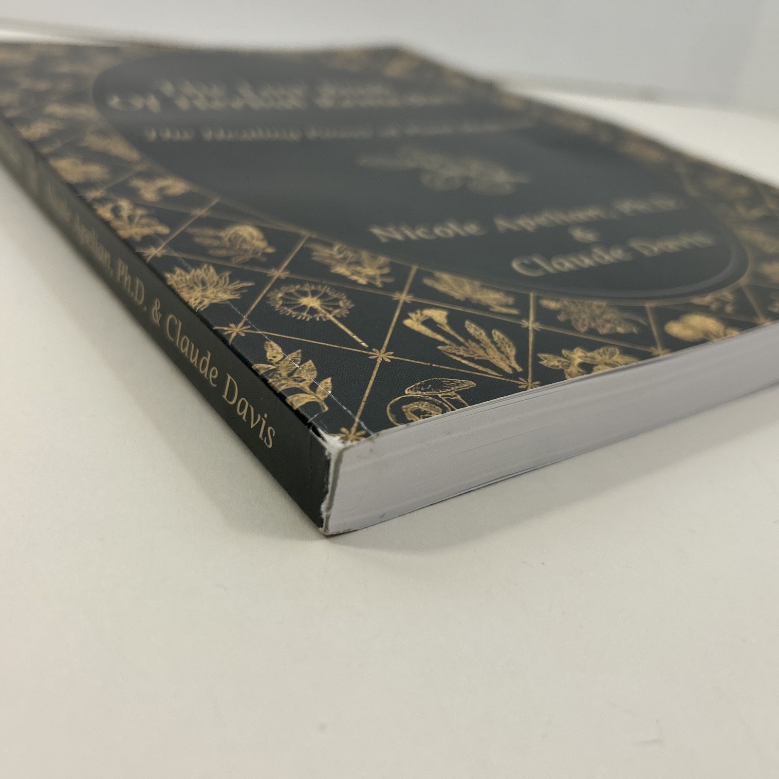 The Lost Book of Herbal Remedies: by Nicole Apelian & Claude Davis Paperback